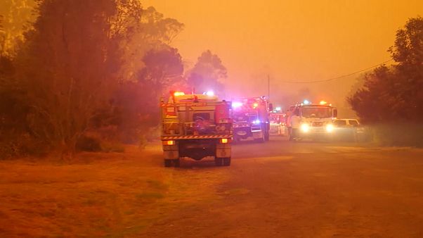 O drama das populações australianas face aos incêndios O drama das populações australianas face aos incêndios
