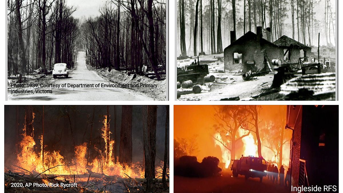 Αυστραλία: Από την «Μαύρη Παρασκευή» του 1939 στις σημερινές πυρκαγιές - BINTEO