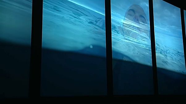 Nouvelle expérience immersive à l'Océanarium de Lisbonne Nouvelle expérience immersive à l'Océanarium de Lisbonne