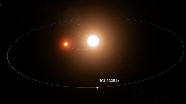 TOI 1338 b TOI 1338 b