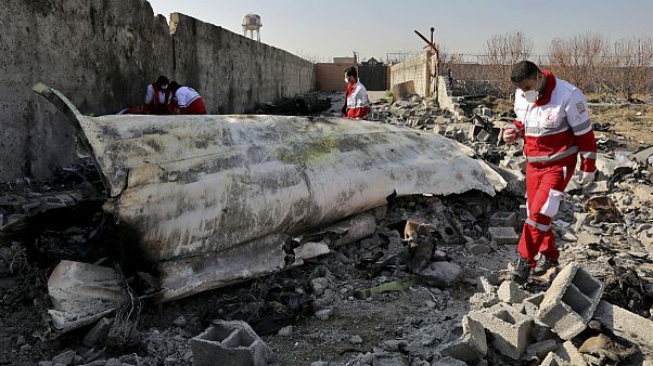 ساقط شدن هواپیمای مسافربری اوکراین در ایران ساقط شدن هواپیمای مسافربری اوکراین در ایران