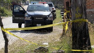 Μεξικό: Βρήκαν ομαδικό τάφο με τουλάχιστον 29 πτώματα