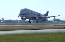 Munkába állt az Airbus Beluga XL