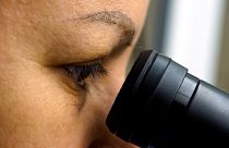 Élő sejtekből építettek robotot amerikai kutatók