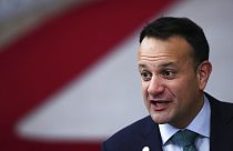 Convocadas elecciones generales anticipadas en Irlanda el 8 de febrero