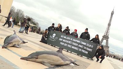 بالصدمة.. شاهد مبادرة جمعية بيئية أمام برج إيفل في باريس للتوعية بخطر صيد الدلافين