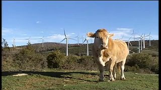 La Comisión Europea lanza un plan de inversiones para la transición energética