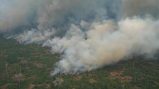 Großflächiger Waldbrand im Amazonas