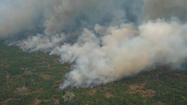 Großflächiger Waldbrand im Amazonas Großflächiger Waldbrand im Amazonas
