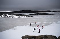 Lawinenabgänge in Island: Schneemassen verschütten Hafen