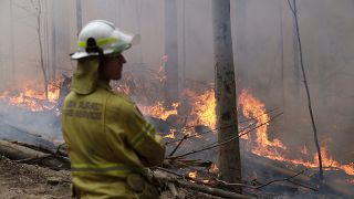 En Australie, la pluie tombe enfin, un soulagement pour les pompiers