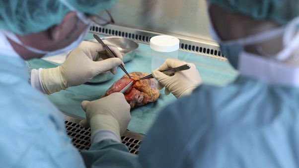 Organspende: Bundestag stimmt gegen Spahns Widerspruchslösung Organspende: Bundestag stimmt gegen Spahns Widerspruchslösung