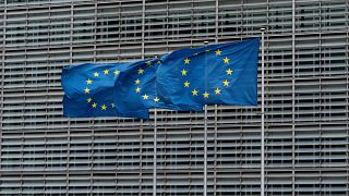 Former EU diplomat suspected of espionage for China