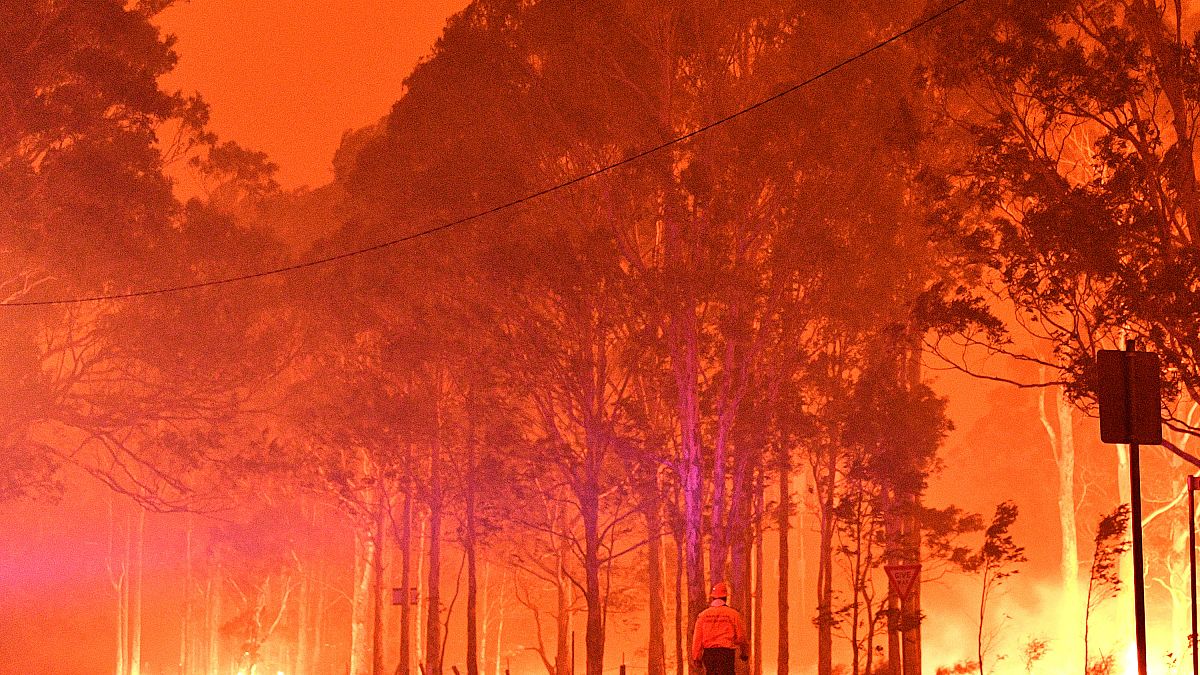الحرائق المشتعلة بولاية ساوث ويلز في أستراليا. 31/12/2019