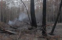 شاهد: هطول أمطار على أجزاء من أستراليا يساهم في احتواء الحرائق
