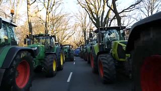 Kilometerlange Treckerproteste: "Wir verlieren jede Menge Höfe"
