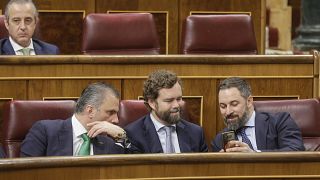 Los líderes de Vox en el Congreso. De dcha. a izda. Santiago Abascal, Ivan Espinosa de los Monteros y  Javier Ortega Smith el 3 de diciembre.