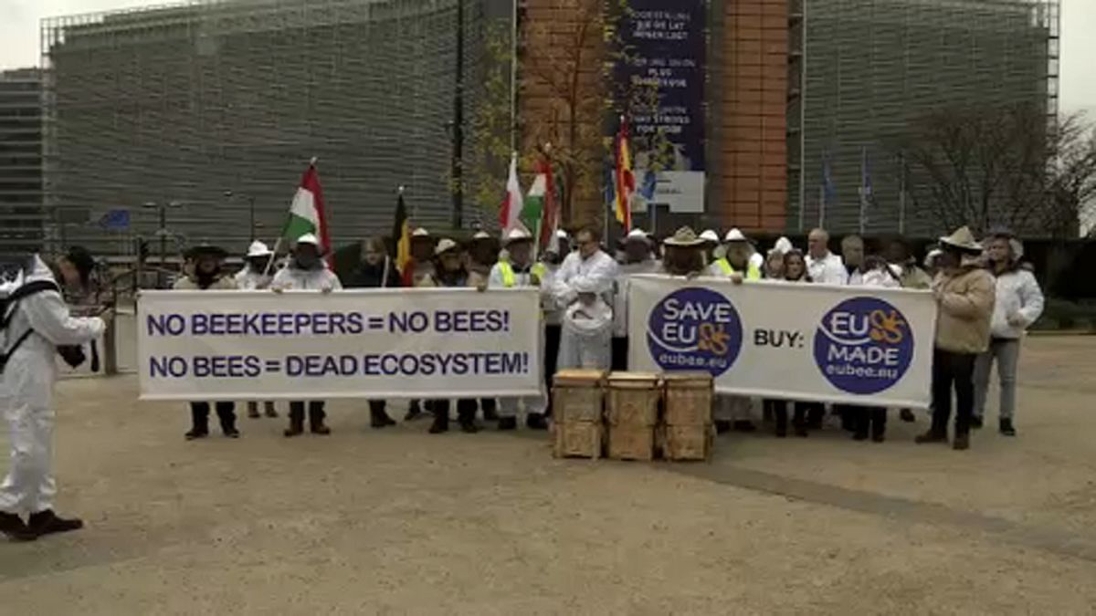 Protesta de apicultores en Bruselas contra las importaciones de miel barata