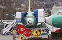 طائرة بوينغ 737 ماكس