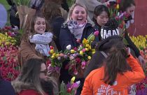 Άμστερνταμ: Η Ημέρα της Τουλίπας