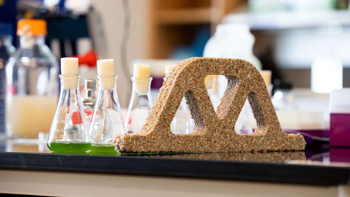 Colorado Üniversitesi'nde görev yapan bilim insanları kum ve bakterilerden kendi kendini tamir edebilen canlı tuğla üretti
