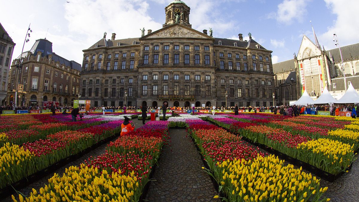 In pictures: Bright colours in Amsterdam in celebration of National Tulip Day