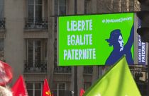 Debatte um homosexuelle Eltern und künstliche Befruchtung 