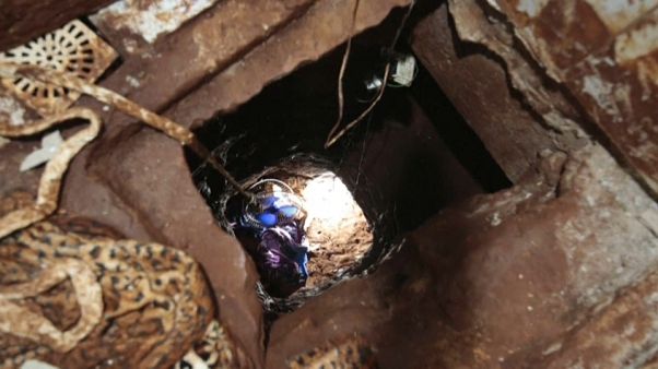 Un "prison break" au Paraguay : 80 prisonniers s'évadent par un tunnel Un "prison break" au Paraguay : 80 prisonniers s'évadent par un tunnel