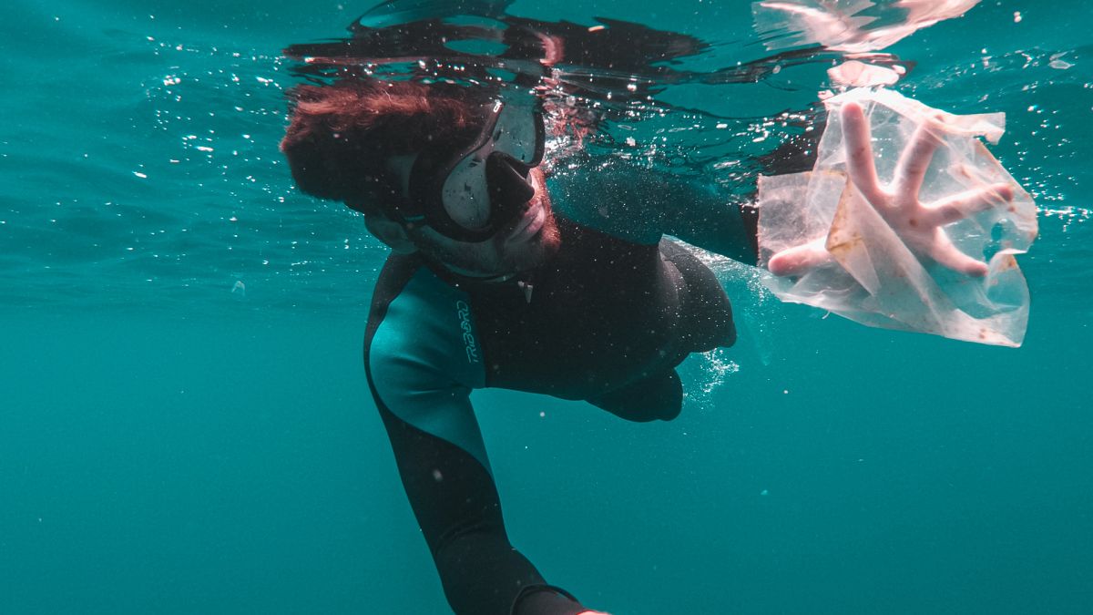 Is your reusable tote worse for the environment than a plastic bag