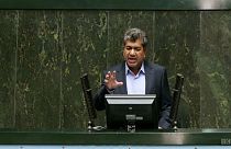 Ahmad Hamzeh in parliament
