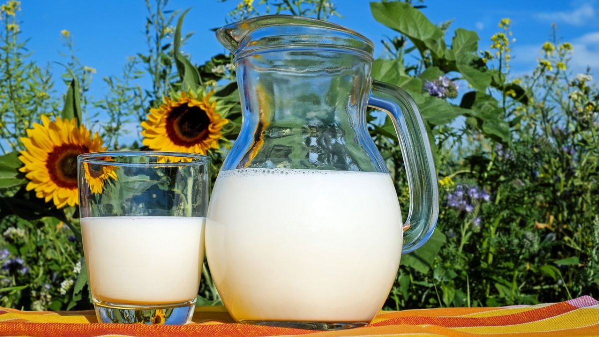 دراسة: استهلاك الحليب كامل وعالي الدسم يسرع الشيخوخة