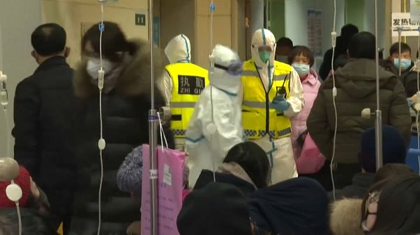 Cina: 9 morti e 440 casi di Coronavirus, primo contagio a Macao Cina: 9 morti e 440 casi di Coronavirus, primo contagio a Macao