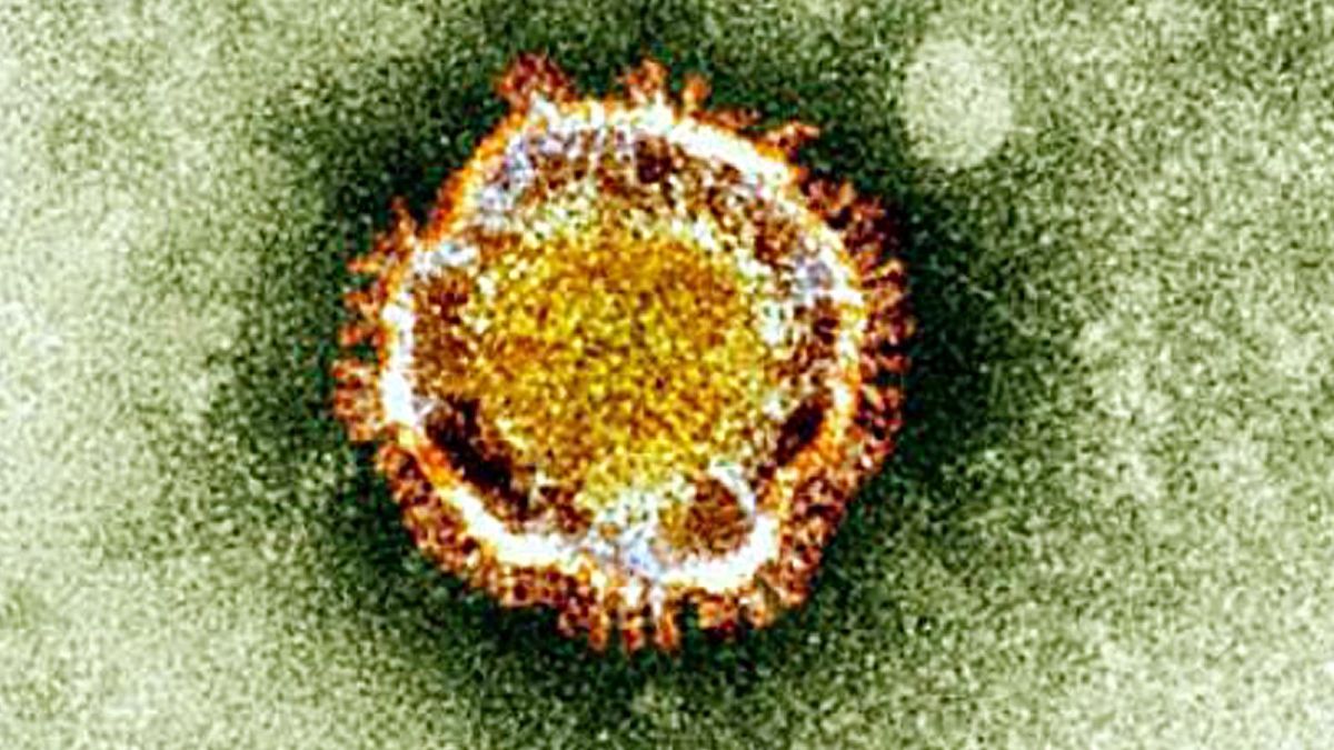 Illustration : le syndrome respiratoire du Moyen-Orient (MERS) vu au microscope, photographié en 2013.  Le coronavirus 2019-nCov est de la famille du MERS.