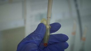 Batalha para conter o coronavírus em andamento nos laboratórios