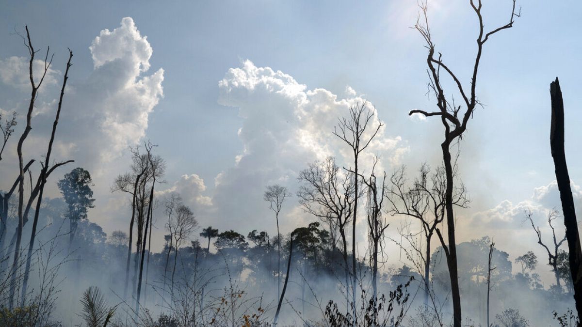 Brände im brasilianischen Bundesstaat Para