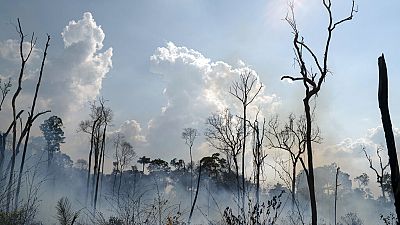(Arquivo) Incêndio na região amazonica do Estado do Pará em Agosto de 2019