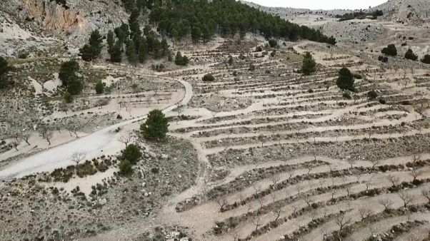 Los peligros de la desertificación y el daño al suelo Los peligros de la desertificación y el daño al suelo