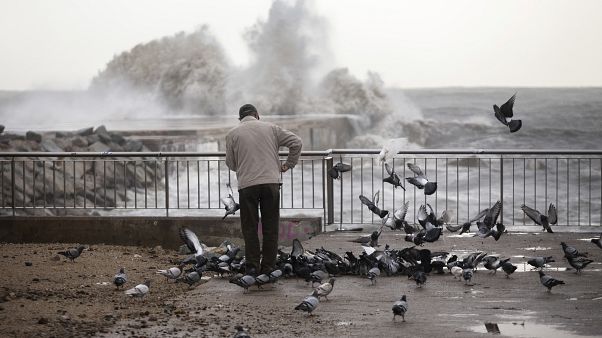 Tempestade Glória fustiga Pirenéus Orientais Tempestade Glória fustiga Pirenéus Orientais