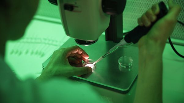 Sperm bağışı Sperm bağışı