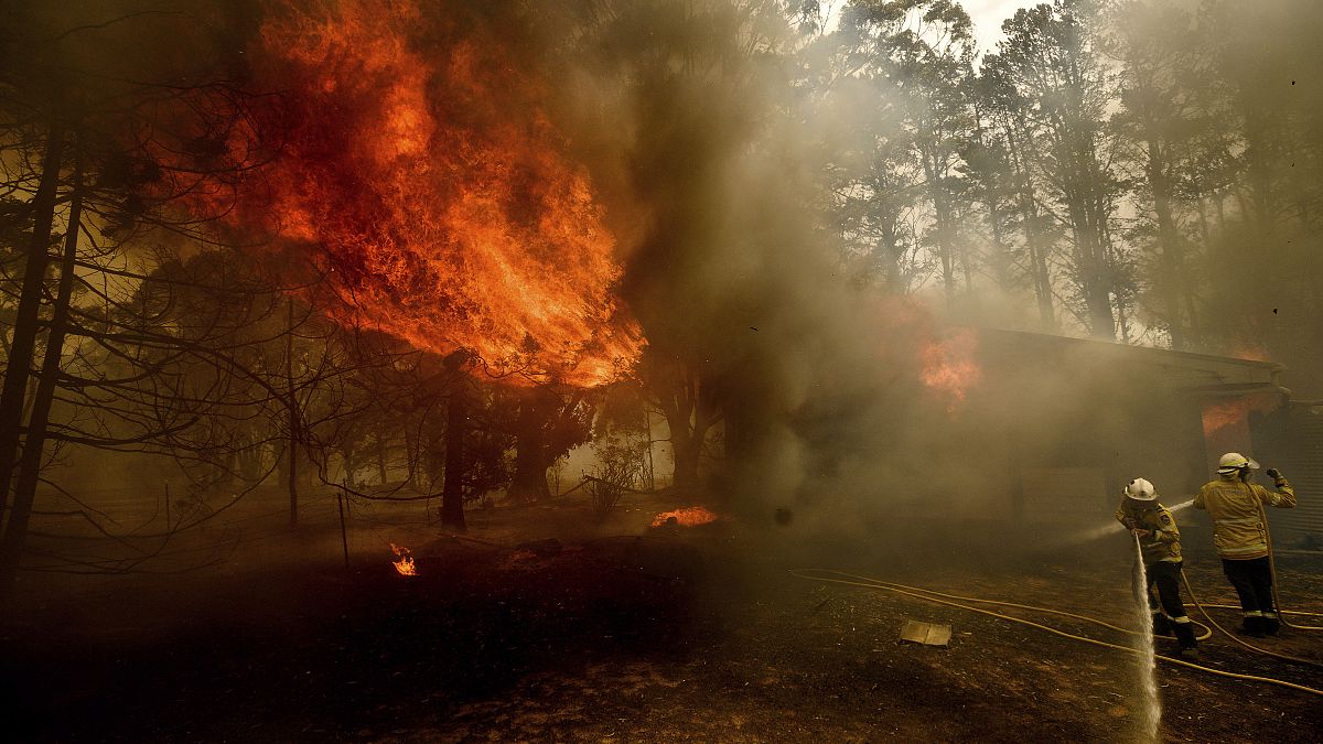 Avustralya'da orman yangınları devam ediyor 