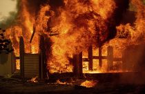 Buschfeuer in Australien zerstören ein Haus 