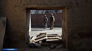 طالبان یک مامور امنیت ملی افغانستان را در هلمند کشتند