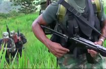 Tierra sin ley entre Colombia y Venezuela: guerrilleros y criminales someten a la población