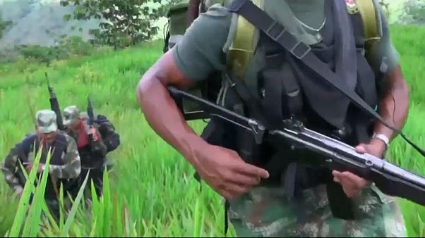 Tierra sin ley entre Colombia y Venezuela: guerrilleros y criminales someten a la población Tierra sin ley entre Colombia y Venezuela: guerrilleros y criminales someten a la población