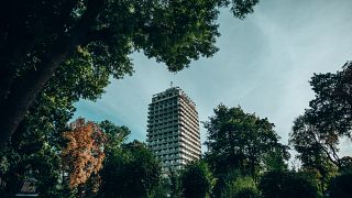 Highrise building with trees surrounding it