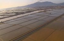 Death toll rises after Storm Gloria batters Catalonia's coast