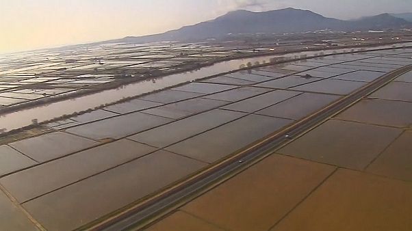 Spagna: ciò che resta dopo il passaggio della tempesta Gloria Spagna: ciò che resta dopo il passaggio della tempesta Gloria