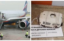 Две кошки пассажира "Аэрофлота" погибли при транспортировке в Шереметьеве