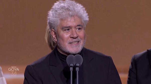 Βραβεία Γκόγια: «Σάρωσε» ο Αλμοδοβάρ Βραβεία Γκόγια: «Σάρωσε» ο Αλμοδοβάρ