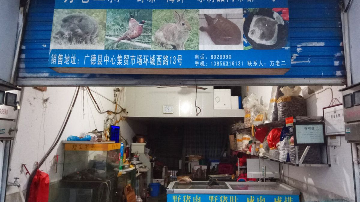 Store suspected of selling trafficked wildlife is seen in Guangde city  (Anti-Poaching Special Squad via AP)